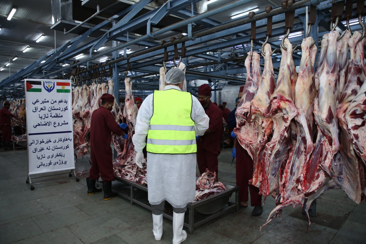 Eid Al-Adha Qurbani Meat Distribution | Nazya Humanitarian Aid, Gaza, Palestine