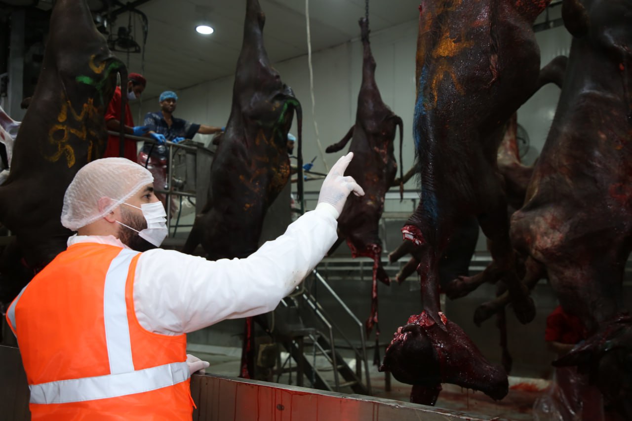 Eid Al-Adha Qurbani Meat Distribution | Nazya Humanitarian Aid, Gaza, Palestine